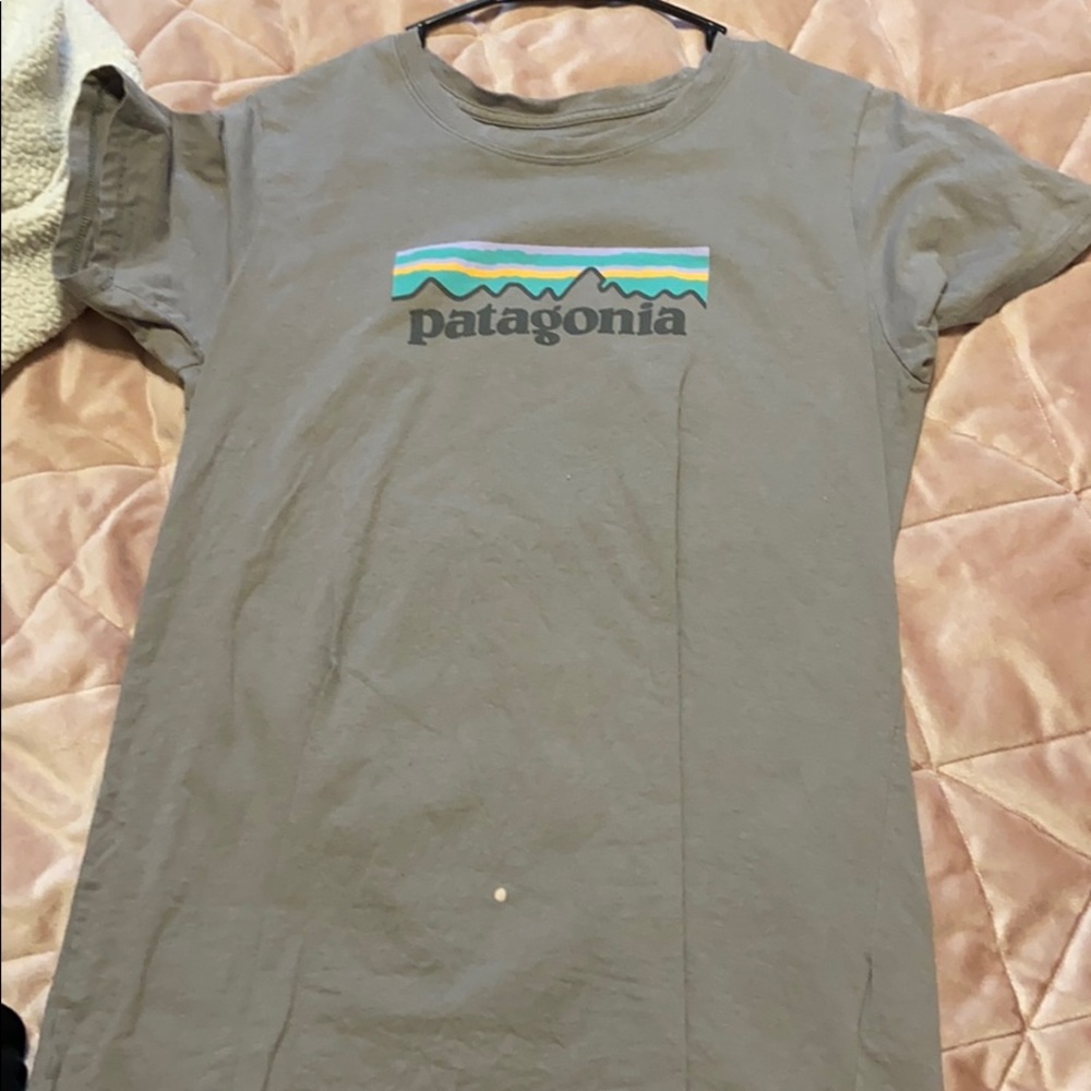 patagonia t shirt